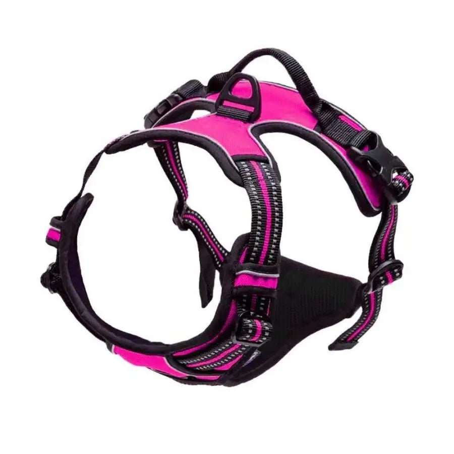 Comfort Fit Dog Harness Set