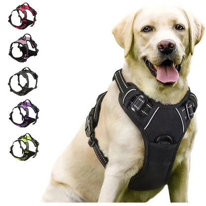 Comfort Fit Dog Harness Set