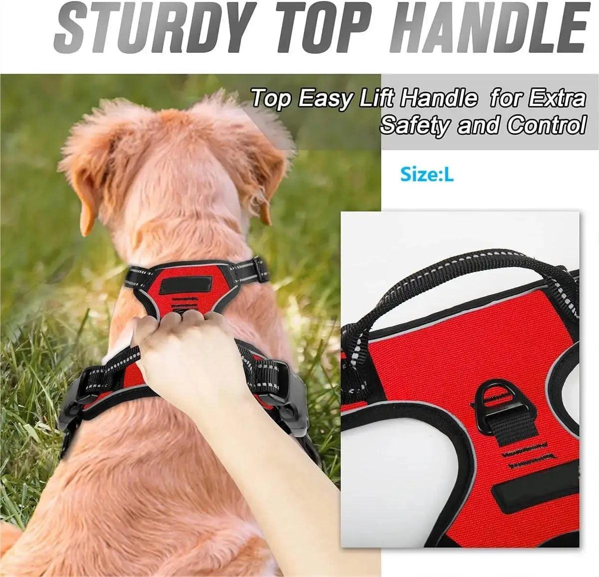 Comfort Fit Dog Harness Set
