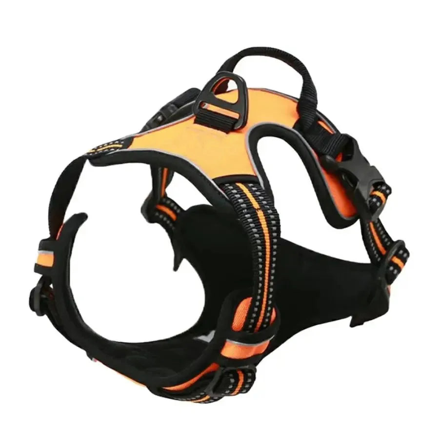 Comfort Fit Dog Harness Set