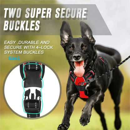 Comfort Fit Dog Harness Set
