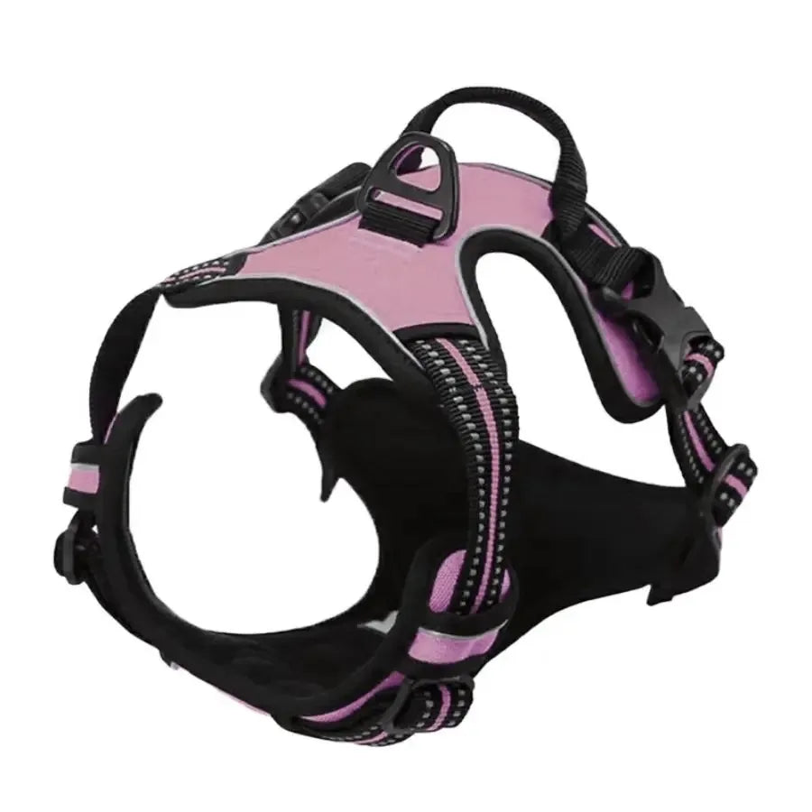 Comfort Fit Dog Harness Set