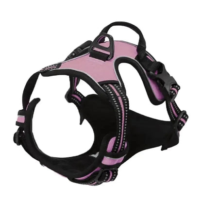 Comfort Fit Dog Harness Set
