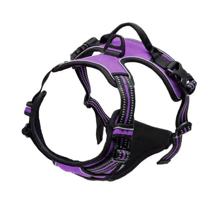 Comfort Fit Dog Harness Set