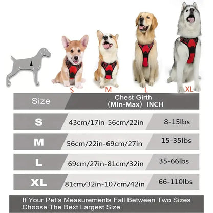 Comfort Fit Dog Harness Set