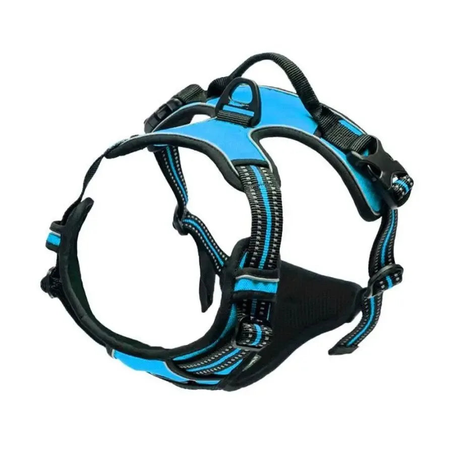 Comfort Fit Dog Harness Set