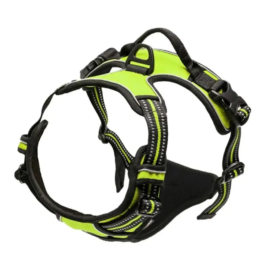 Comfort Fit Dog Harness Set