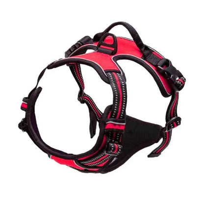 Comfort Fit Dog Harness Set