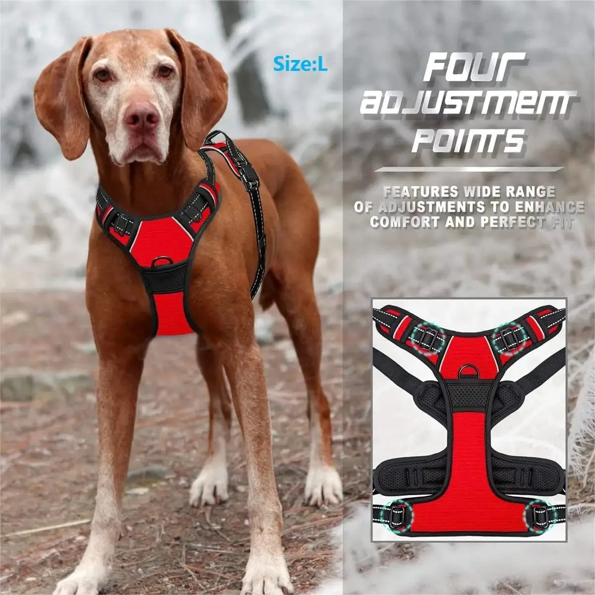 Comfort Fit Dog Harness Set