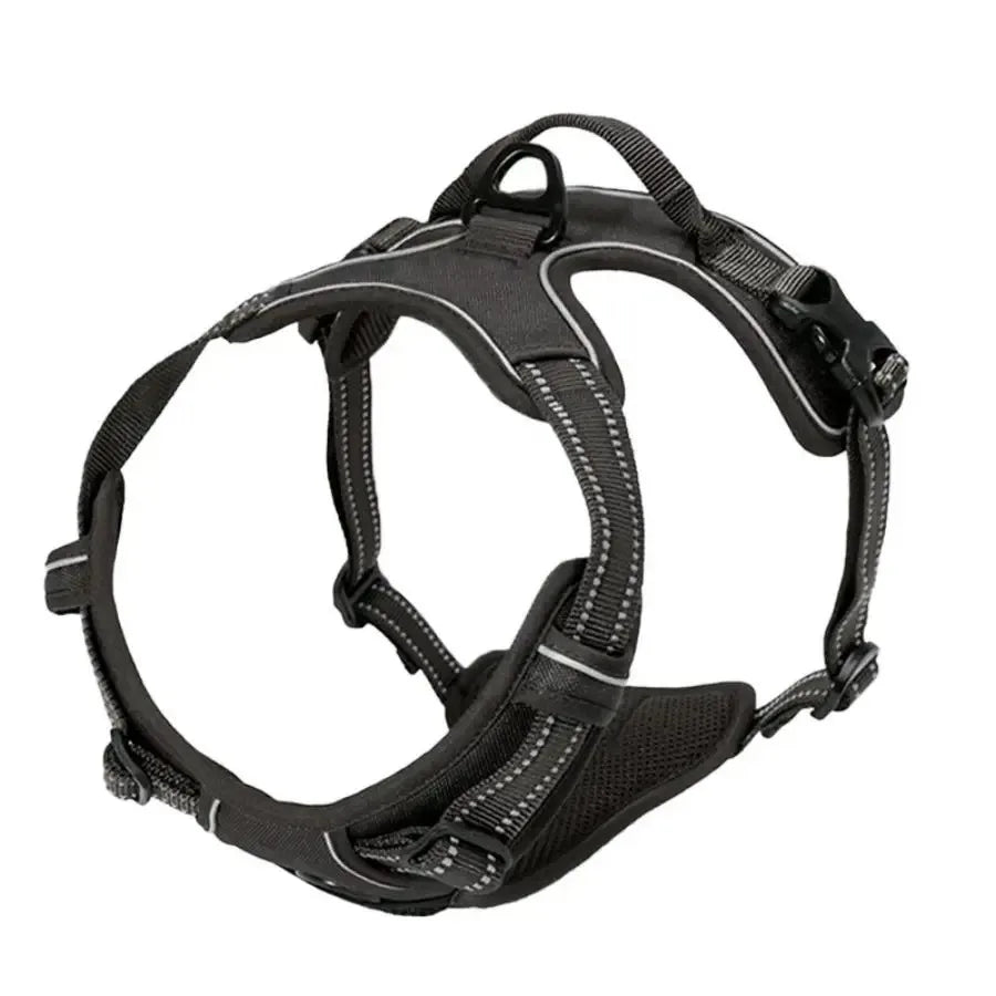 Comfort Fit Dog Harness Set