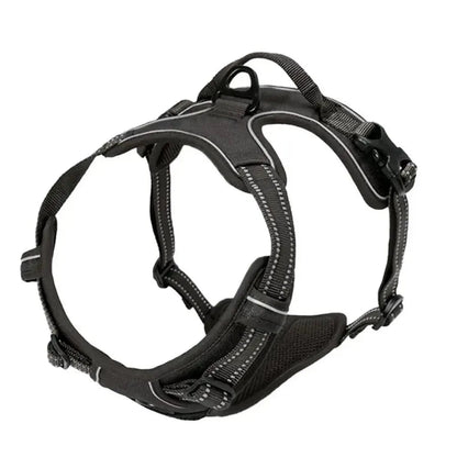 Comfort Fit Dog Harness Set